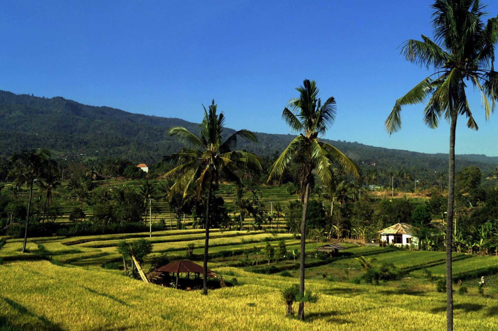Lafyu Bali Hotel Singaraja Екстериор снимка
