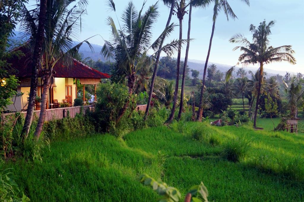 Lafyu Bali Hotel Singaraja Екстериор снимка
