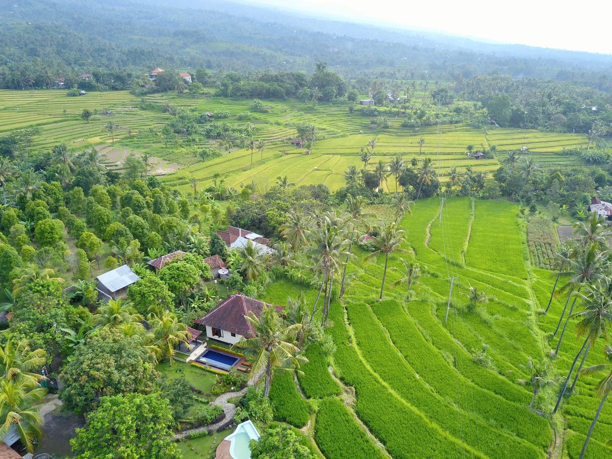 Lafyu Bali Hotel Singaraja Екстериор снимка