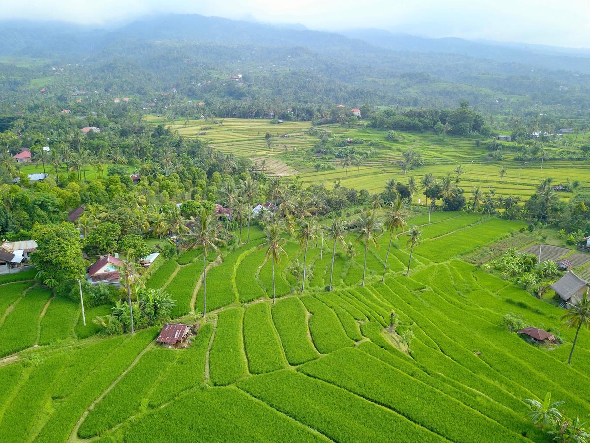 Lafyu Bali Hotel Singaraja Екстериор снимка